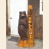 Welcome Bear